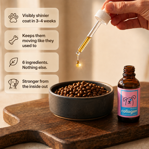 Daily Liquid Collagen