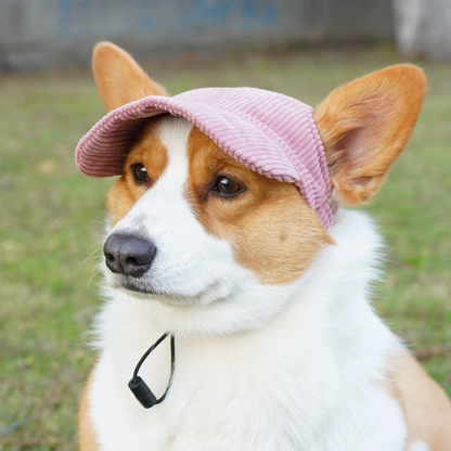 Dog Sun Cap