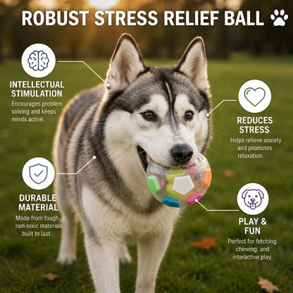 Durable Stress Relief Toy Ball for Dogs