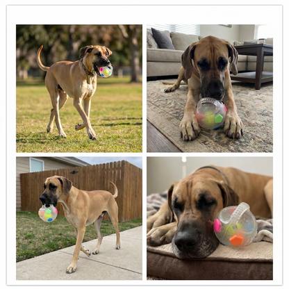 Durable Stress Relief Toy Ball for Dogs