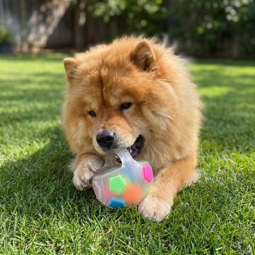 Durable Stress Relief Toy Ball for Dogs