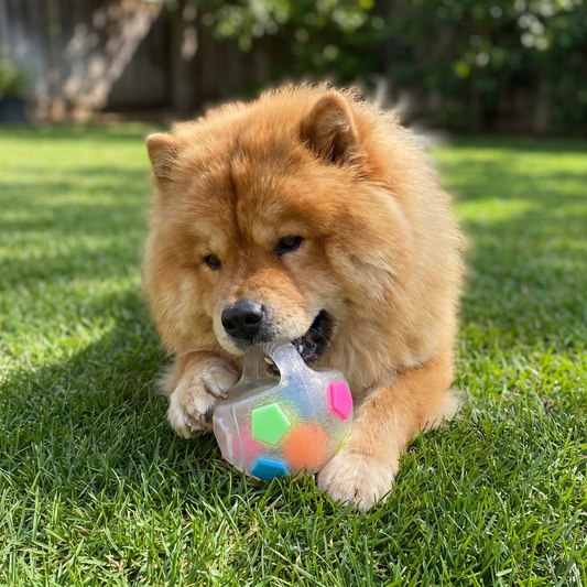 Durable Stress Relief Toy Ball for Dogs